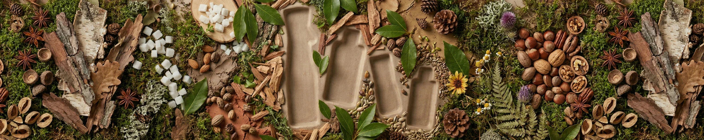 Organic Edition