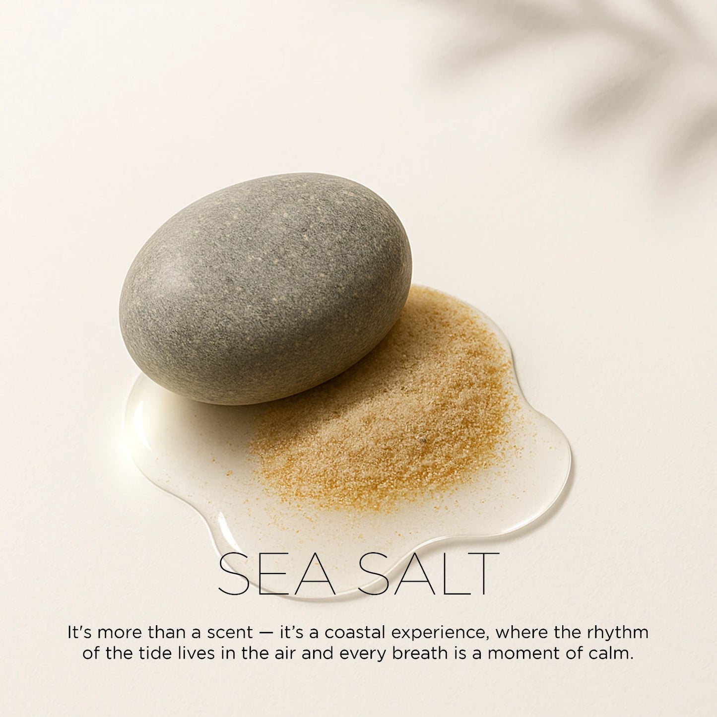 Sea Salt – Clean & Coastal | Aquatic Air Freshener for Home & Office