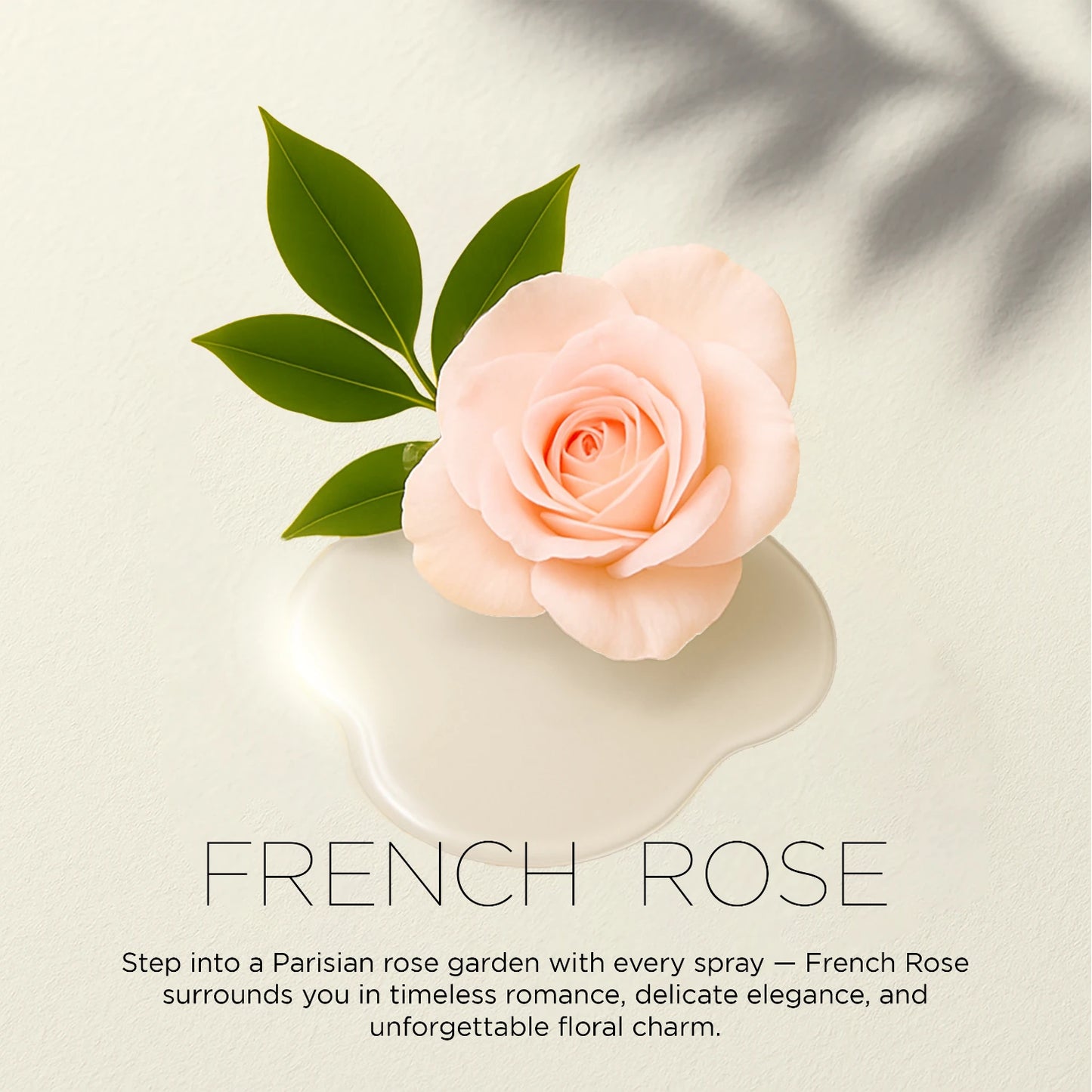 French Rose – Classic & Romantic | Floral Air Freshener for Home & Office