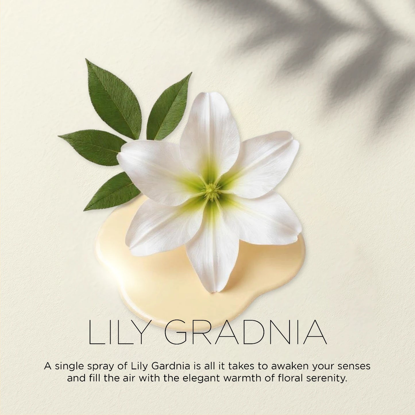 Lily Gardenia – Soft & Delicate | Floral Air Freshener for Home & Office