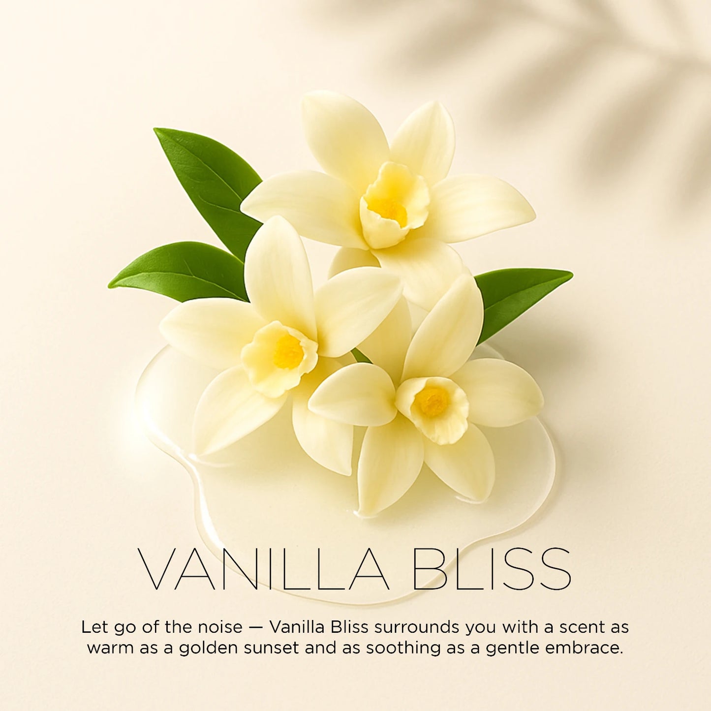 Vanilla Bliss – Warm & Cozy | Special Edition Air Freshener for Home & Office