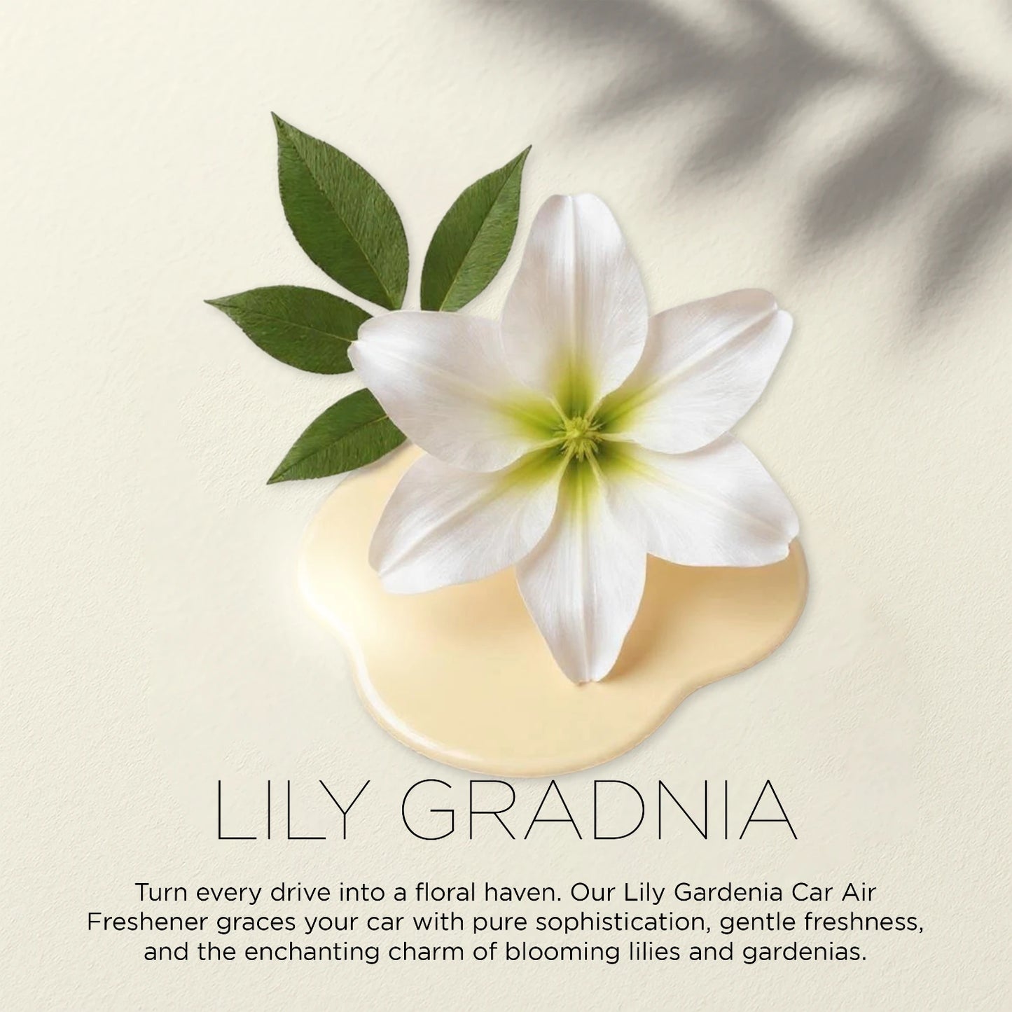 Lily Gardenia – Soft & Delicate | Floral Car Perfume